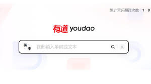 如何在有道翻译中开启夜间模式保护视力？